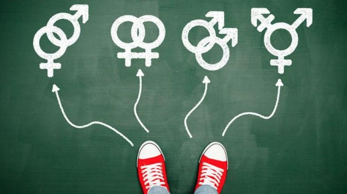 Los efectos de la ideología de género – Punto de encuentro