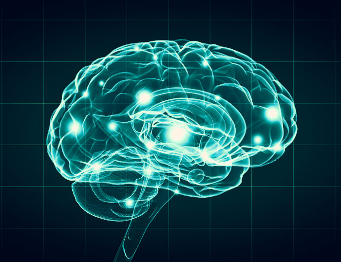 Neuropsicología de la Inteligencia (3) – Adentrándonos en la Psique