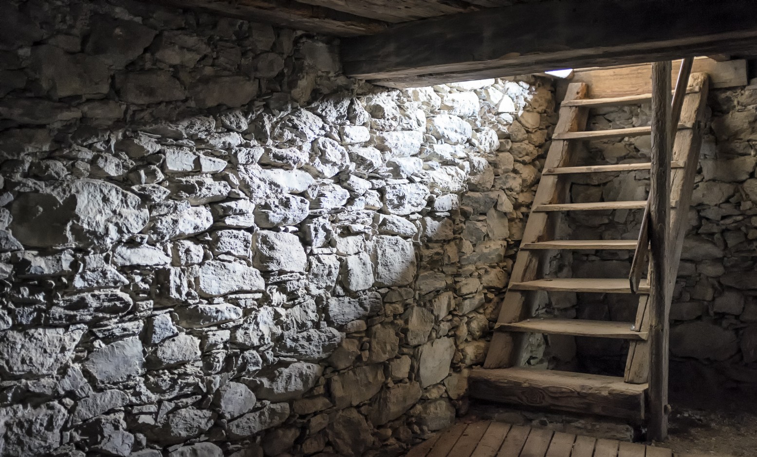Los dioses que guardamos en el sótano – Al trasluz con José de Segovia