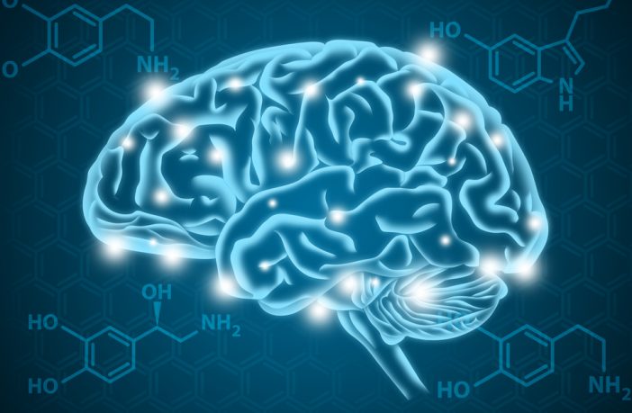 Cómo afecta la serotonina a nuestro cerebro – Psic. Julia Baldeón
