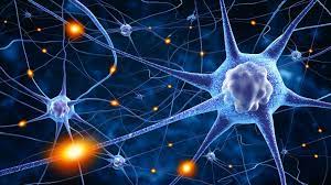 La importancia de los neurotransmisores – Una asombrosa creación con la Dr. Gissel Quintero