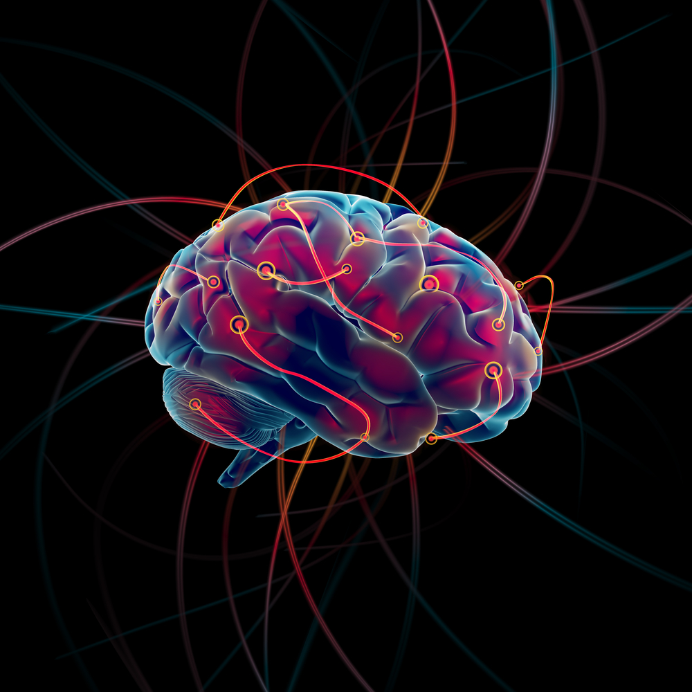Funcionamiento del cerebro – Una asombrosa creación con la Dr. Gissel Quintero