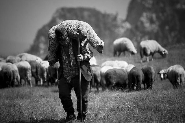 Un llamado a los pastores – La semilla con el Pr. Lucho