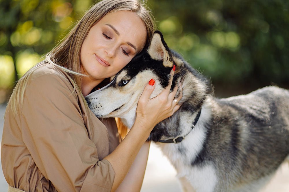 Los comportamientos habituales de los perros – Observa a los animales con la veterinaria Katherine Jara