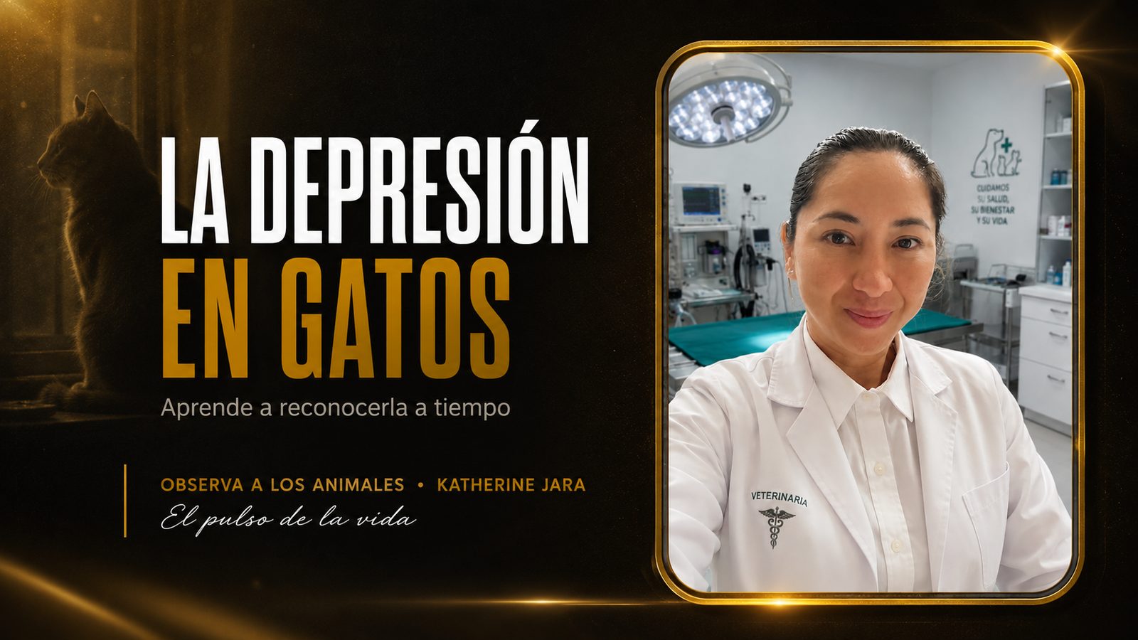 La depresión en gatos: señales para detectarla a tiempo | Katherine Jara