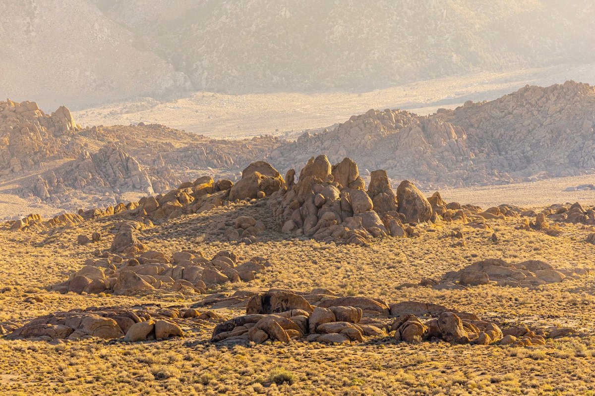 Paisaje desértico de roca y matorral al atardecer