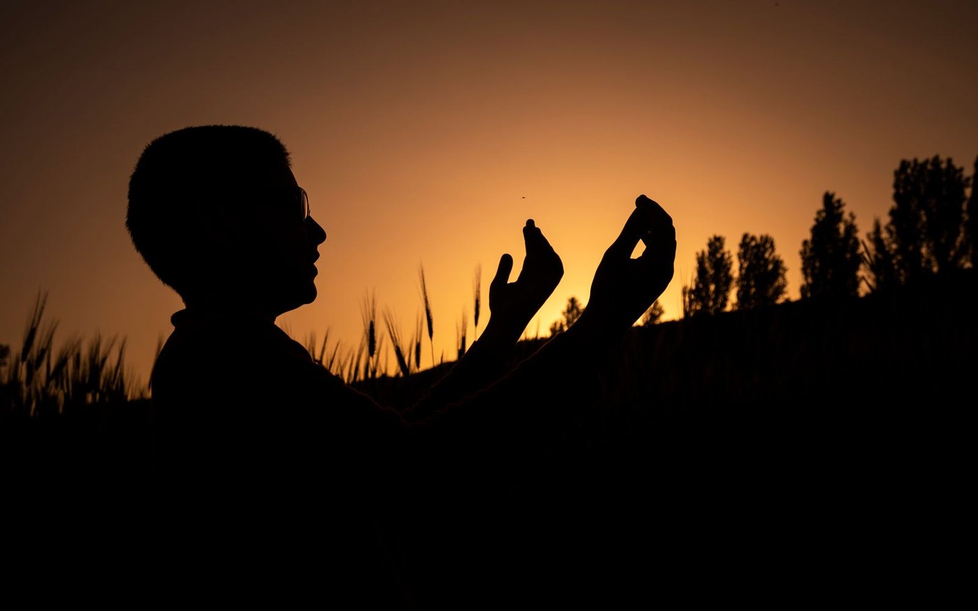 Silueta de una persona con las manos abiertas al amanecer en un campo