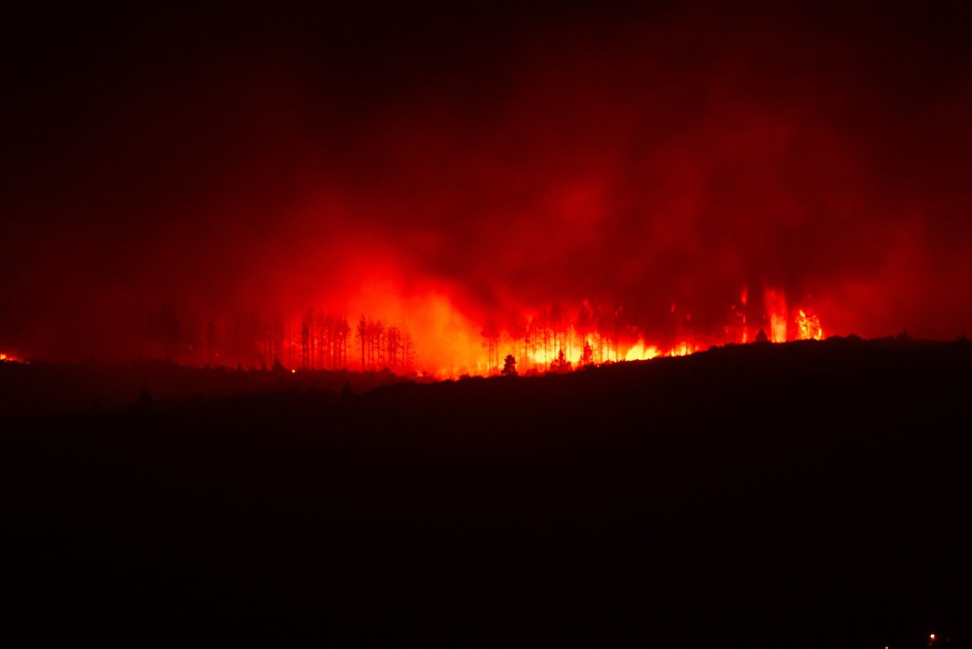 Incendio forestal nocturno en España