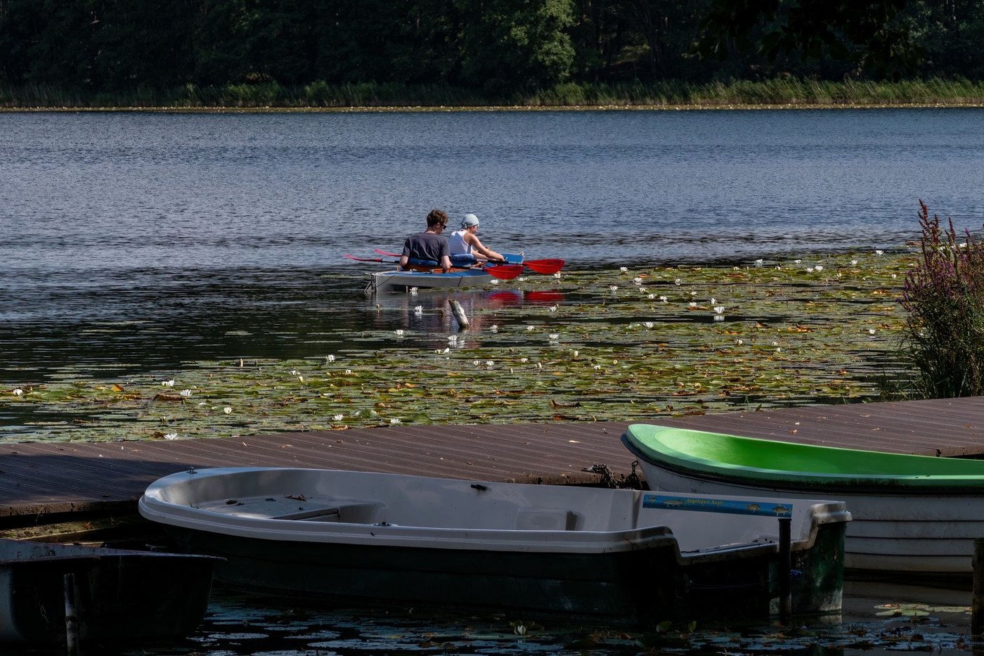 Dos personas reman juntas en una barca en un lago