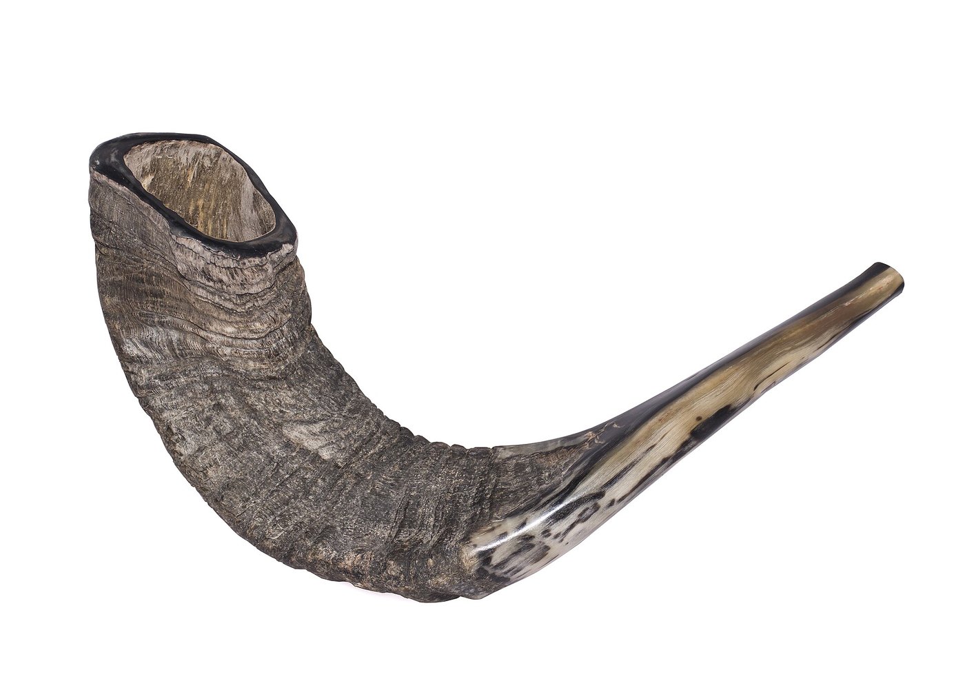 Shofar, cuerno de carnero con el que se pregonaba el año del jubileo