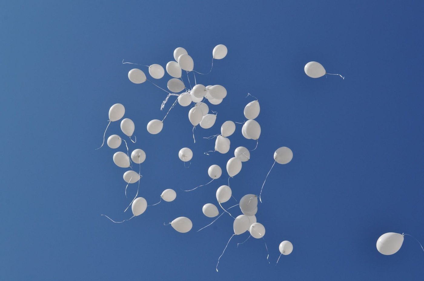 Globos blancos soltados hacia un cielo azul